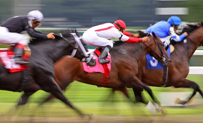 競馬 勝負どころ